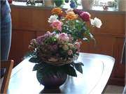 2010-08-21 Brigitte Jungfrau007